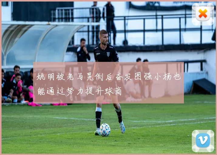 姚明被老马晃倒后奋发图强小杨也能通过努力提升球商
